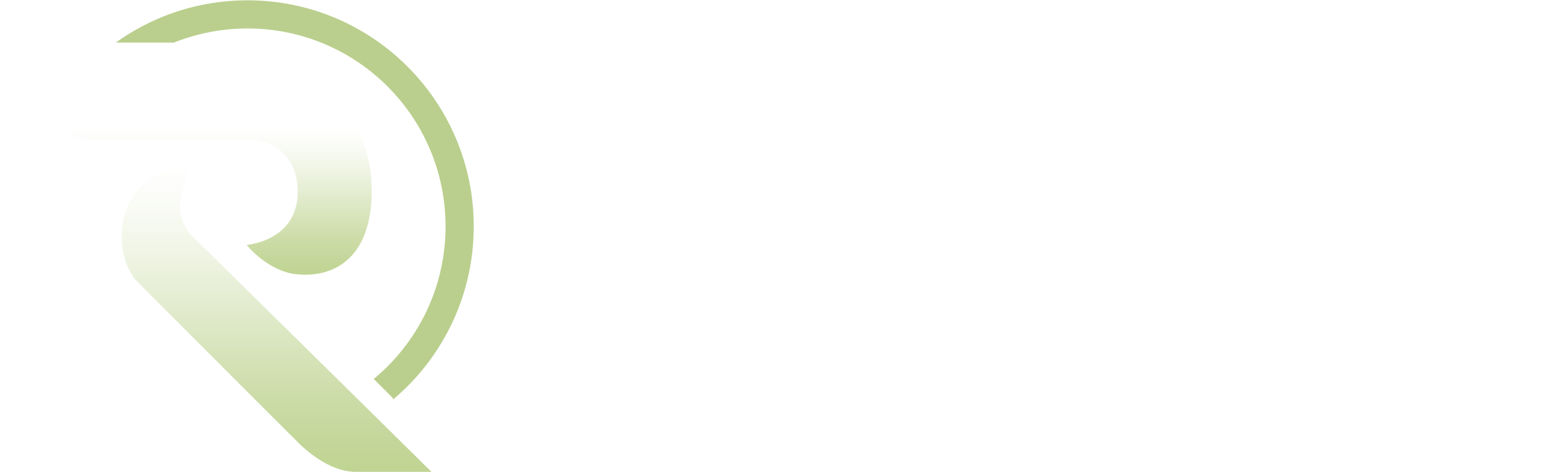 RAMS Infosys LLC